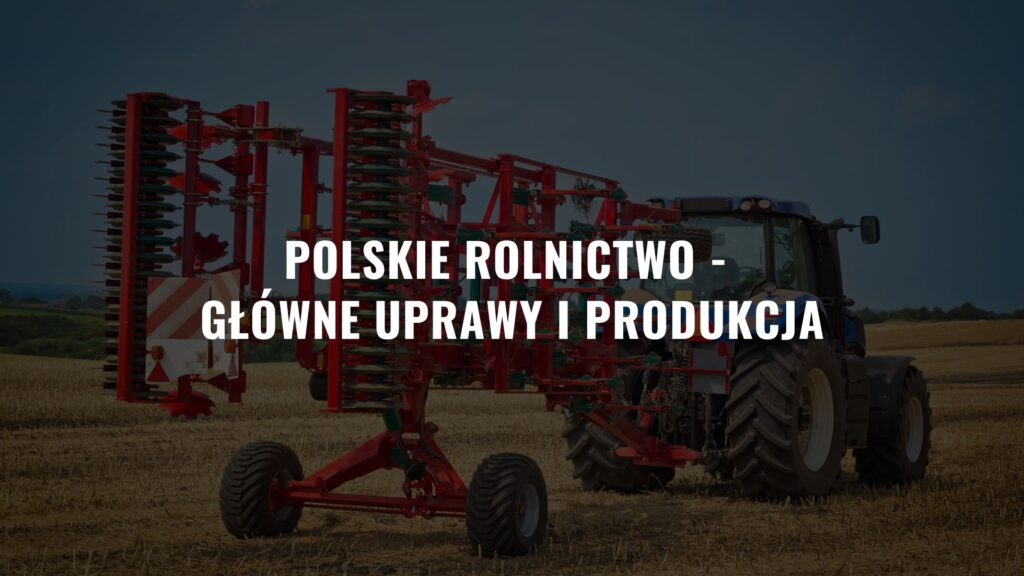 Polskie Rolnictwo - Główne Uprawy I Produkcja - Ruchwspolnapolska.pl